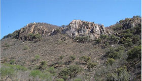View of vein outcropping at Ermitaño project