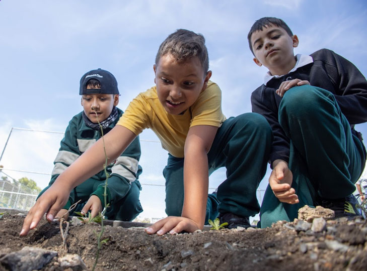 Promoting Environmental Stewardship in Zacatecas